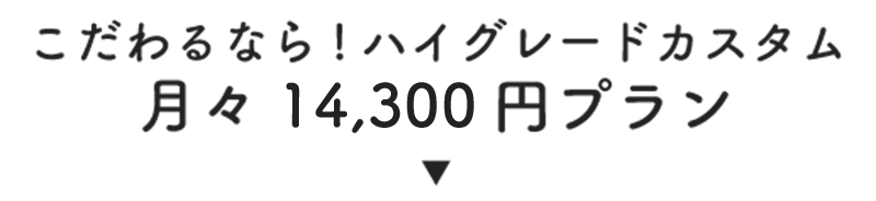 こだわるなら!ハイグレードカスタム月々14,040円プラン