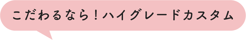 こだわるなら!ハイグレードカスタム